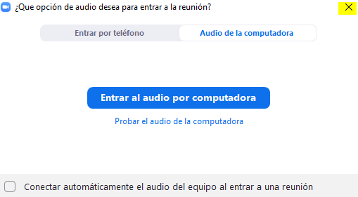 Zoom audio.png