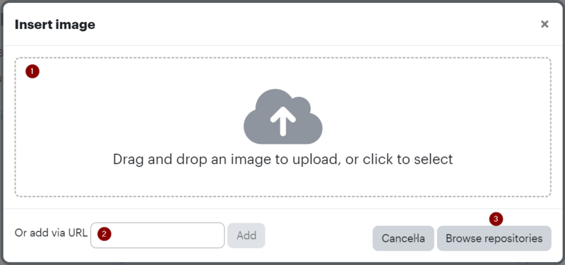 Fitxer:InserirImatgeEditorTinyMCE.png