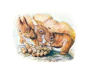 Three squirrels