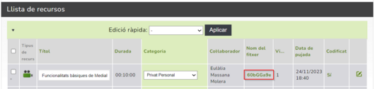 DescarregarVideoMedial.png