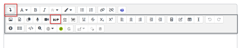 Fitxer:InserirH5PEditorTextMoodle.png