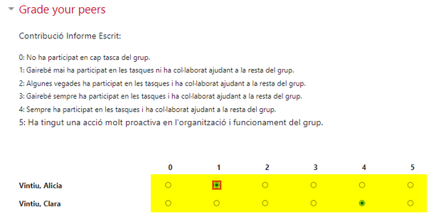 Peerwork10.png