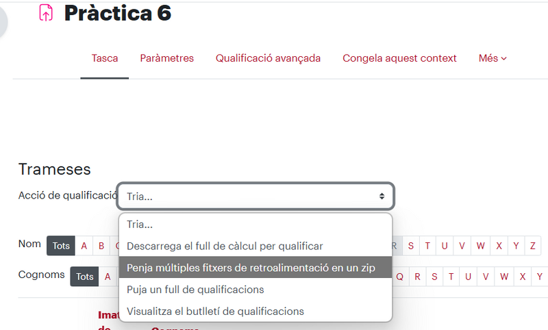 Fitxer:SeleccioOpcioCarregarRetroaccioMoodle.png