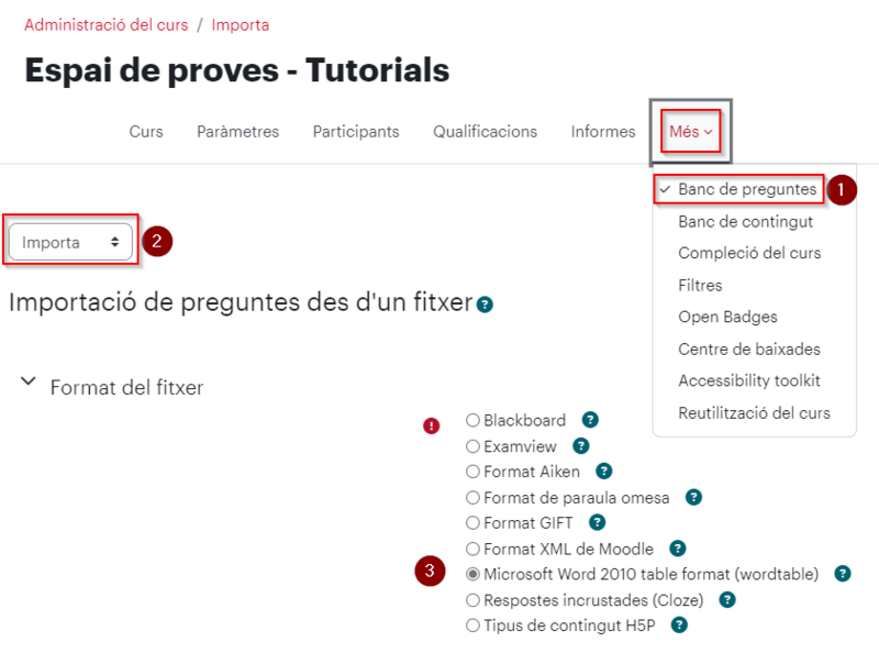 Fitxer:Importar-1-MSWordBancPreguntesMoodle.png