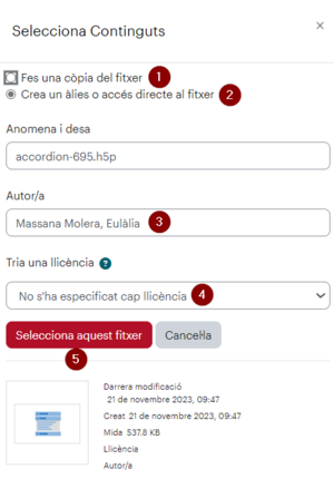 OpcionsContingutH5PActivitatMoodle.png