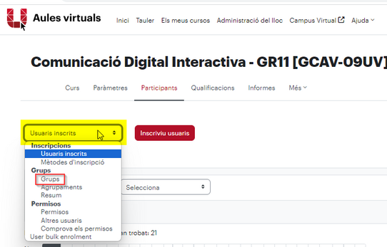 SeleccioApartatGrups-Usuaris.png