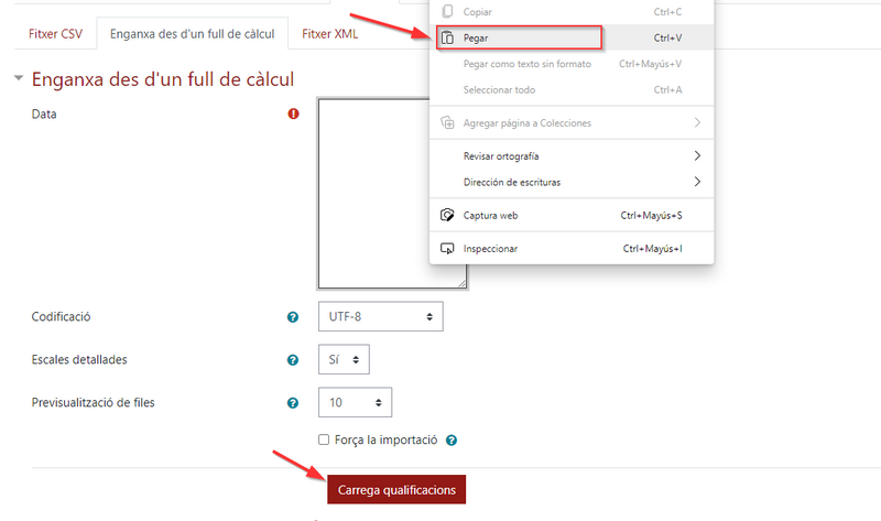 Fitxer:Enganxa des de full de càlcul.png