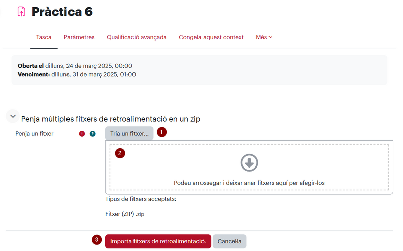 Fitxer:ImportarFitxerRetroalimentacioTascaMoodle01.png
