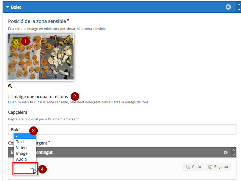 Fitxer:H5P ImageHotspots 04.png