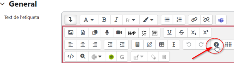 Fitxer:Accessibilitat dins editor ATO.png