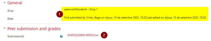 Fitxer:Peerwork14.png