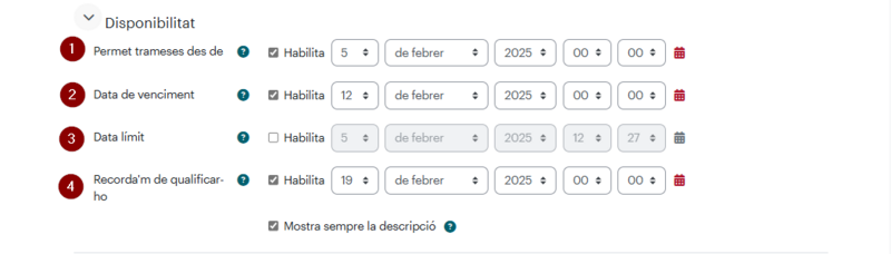 Fitxer:2025-02-07 12 49 19-Clipboard.png