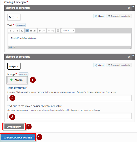 Fitxer:H5P ImageHotspots 06.png
