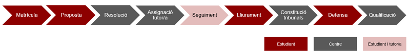 Fitxer:ProcesTFM.png