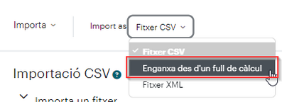 SeleccioEnganxarFull-MSExcel.png