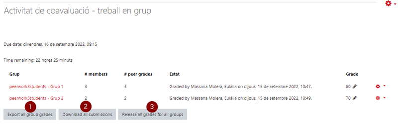 Fitxer:Peerwork20.png