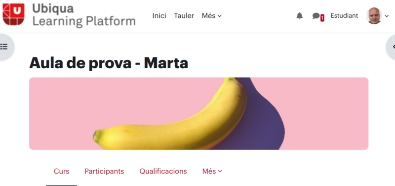 Fitxer:Imatges de curs5.png