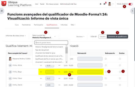 InformeVistaUnicaQualificador.png