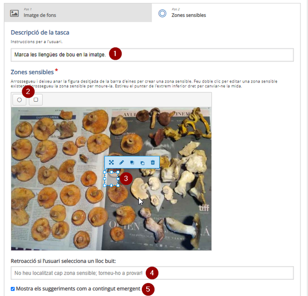 Fitxer:Image444444424.png
