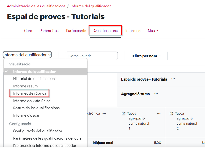 Fitxer:SeleccioInformesRubricaMoodle.png