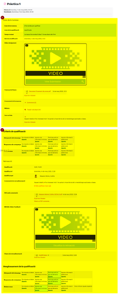 Fitxer:VistaRetroaccioEstudiantTascaMoodle n.png